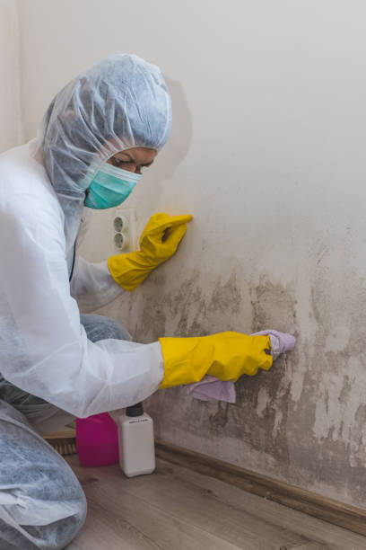 Best Indoor Air Quality Assessment  in Bernardsville, NJ