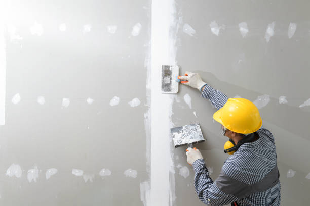 Best Mold Removal for HVAC Installations  in Bernardsville, NJ