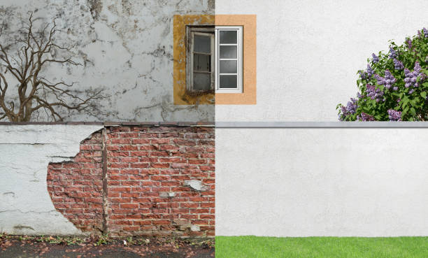 Best Mold Damage Restoration  in Bernardsville, NJ